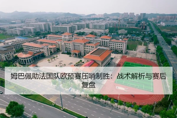 姆巴佩助法国队欧预赛压哨制胜：战术解析与赛后复盘
